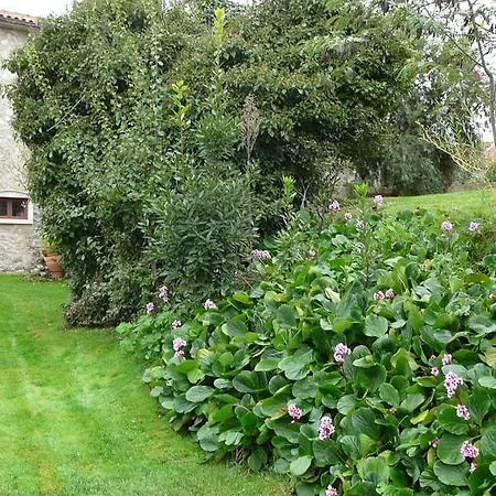 게스트하우스 Casa Vale Florido