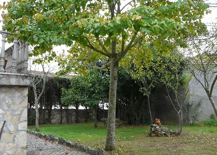 ゲストハウス Casa Vale Florido *