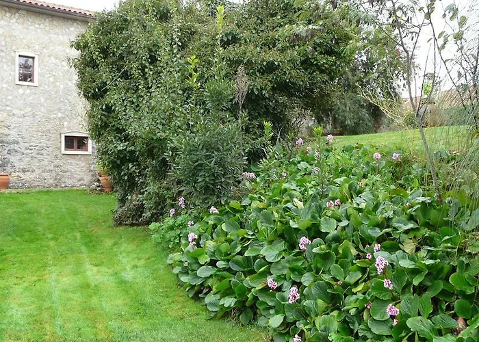 ゲストハウス Casa Vale Florido